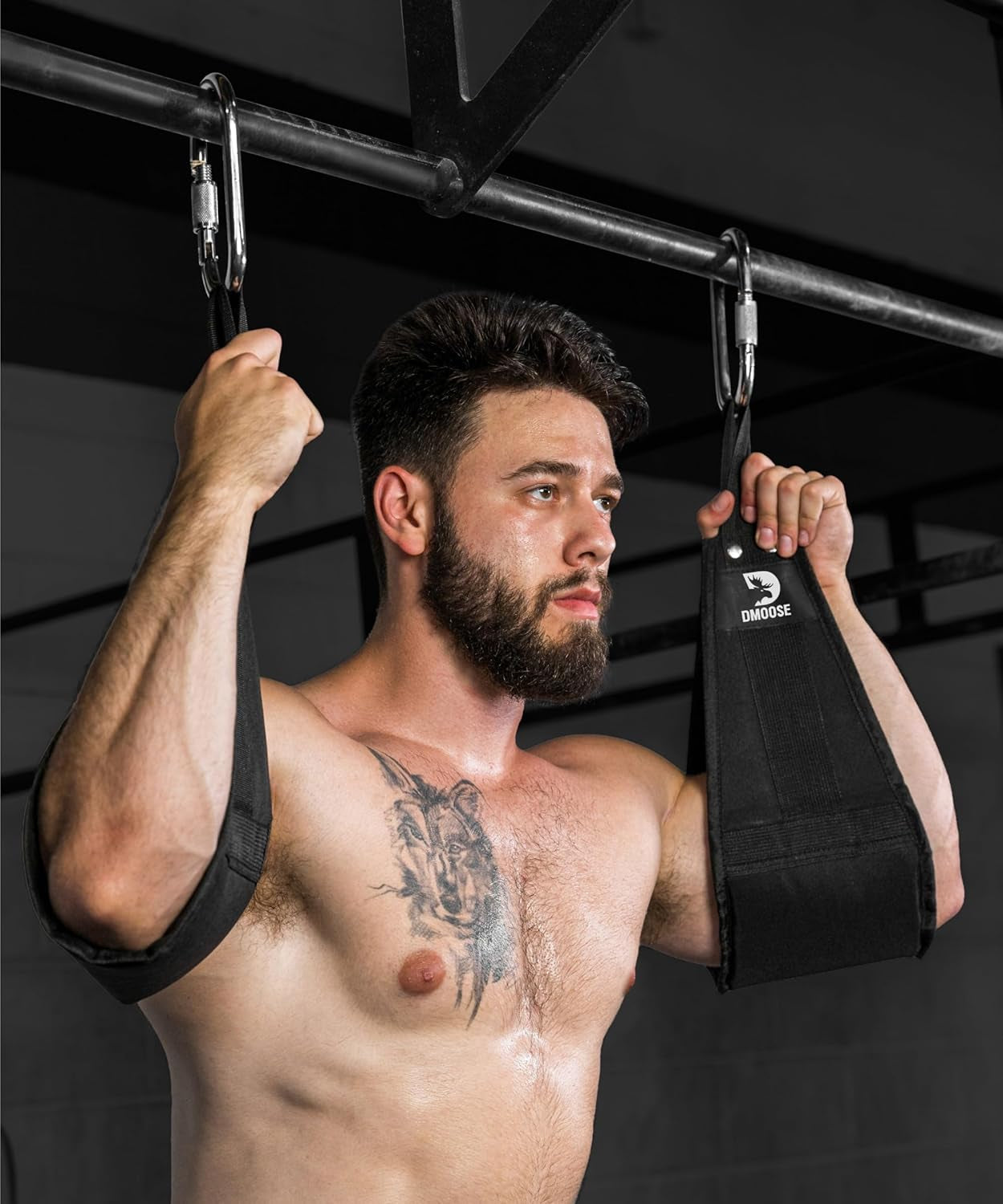 Hanging Ab Straps for Pull-Up Bars - Padded Exercise Straps for Core Strength Training and Leg Raises, Includes 2 Steel Carabiners - Ideal Abs Equipment for Home and Gym Use